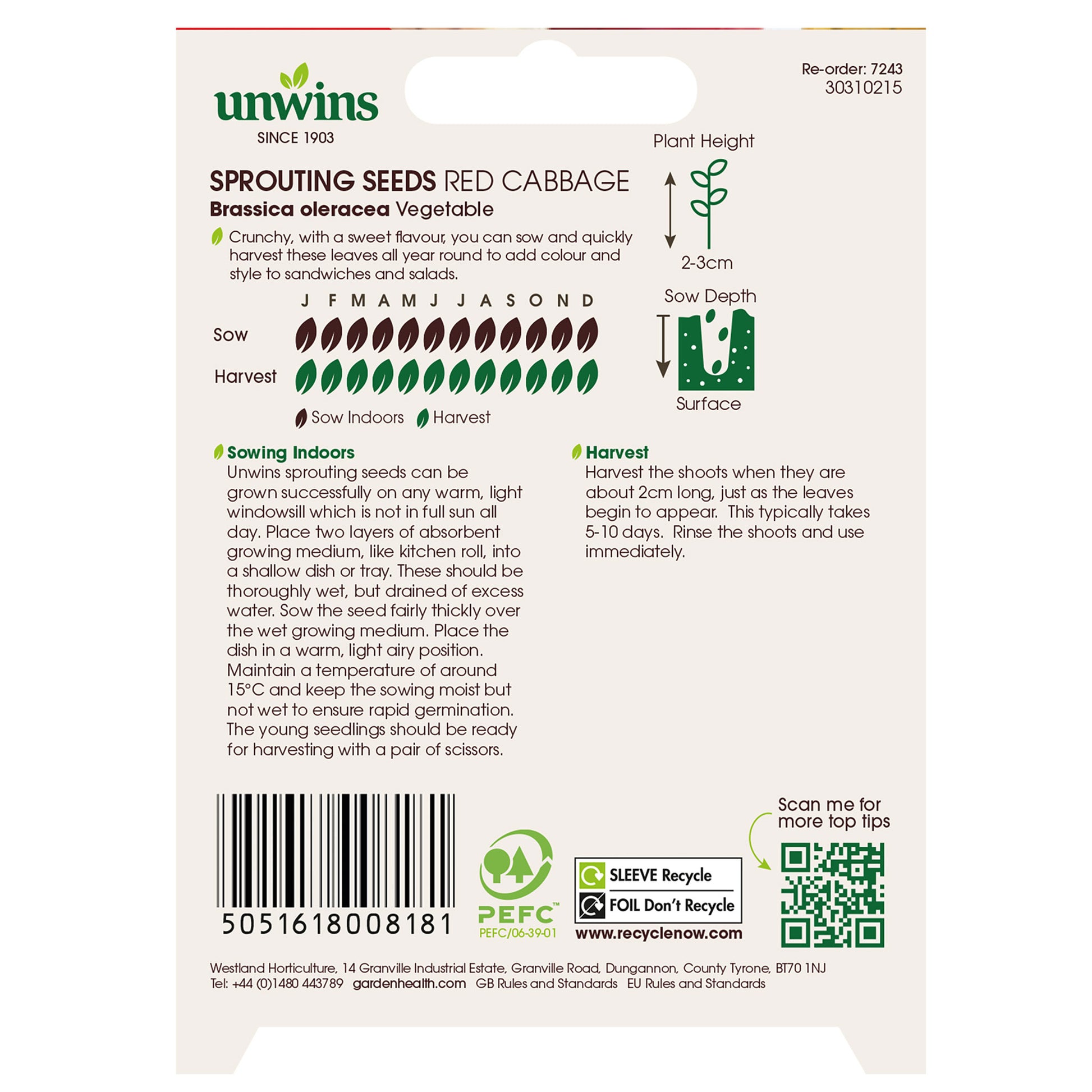 Sprouting Seeds Red Cabbage