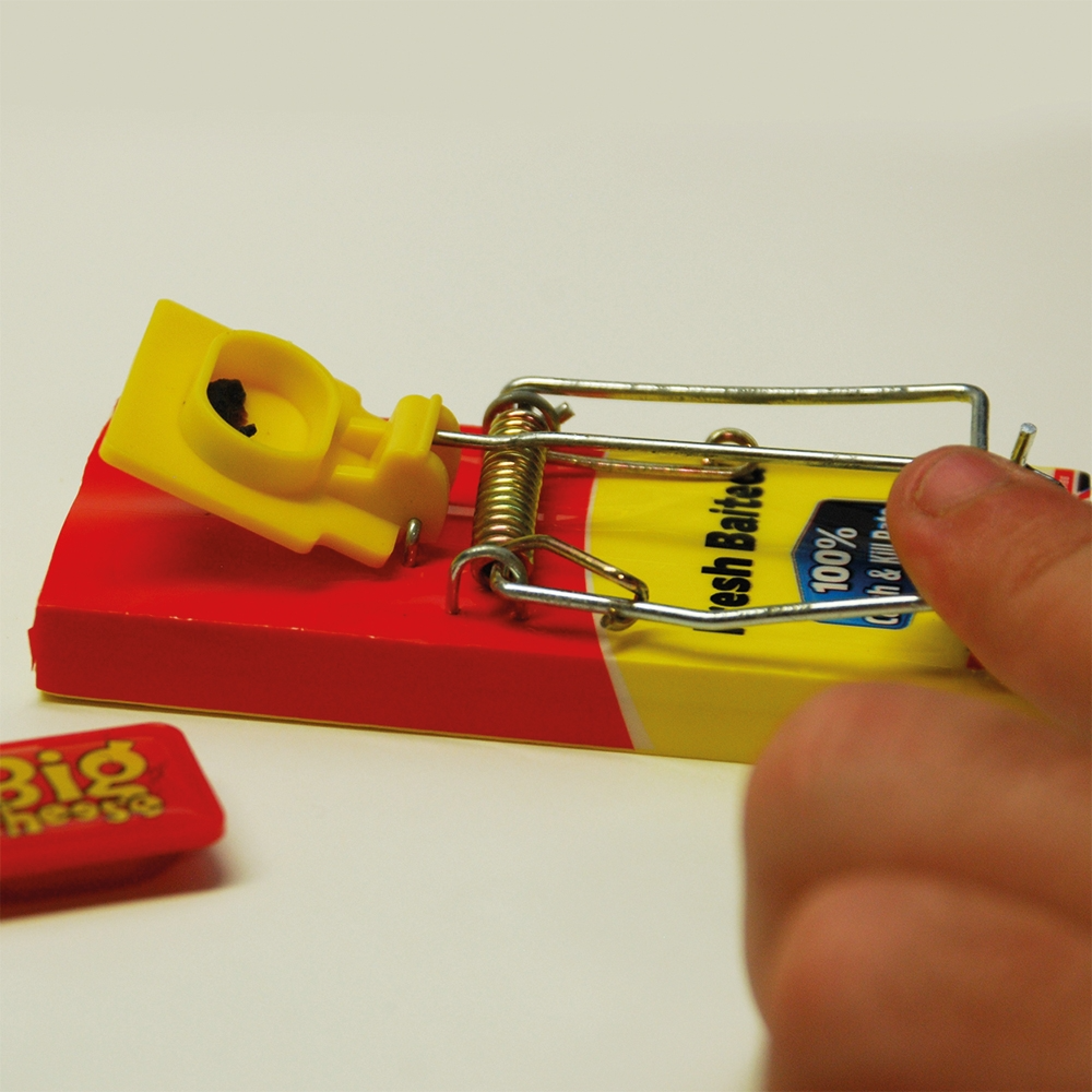 The Big Cheese Fresh Baited Mouse Trap - Twinpack