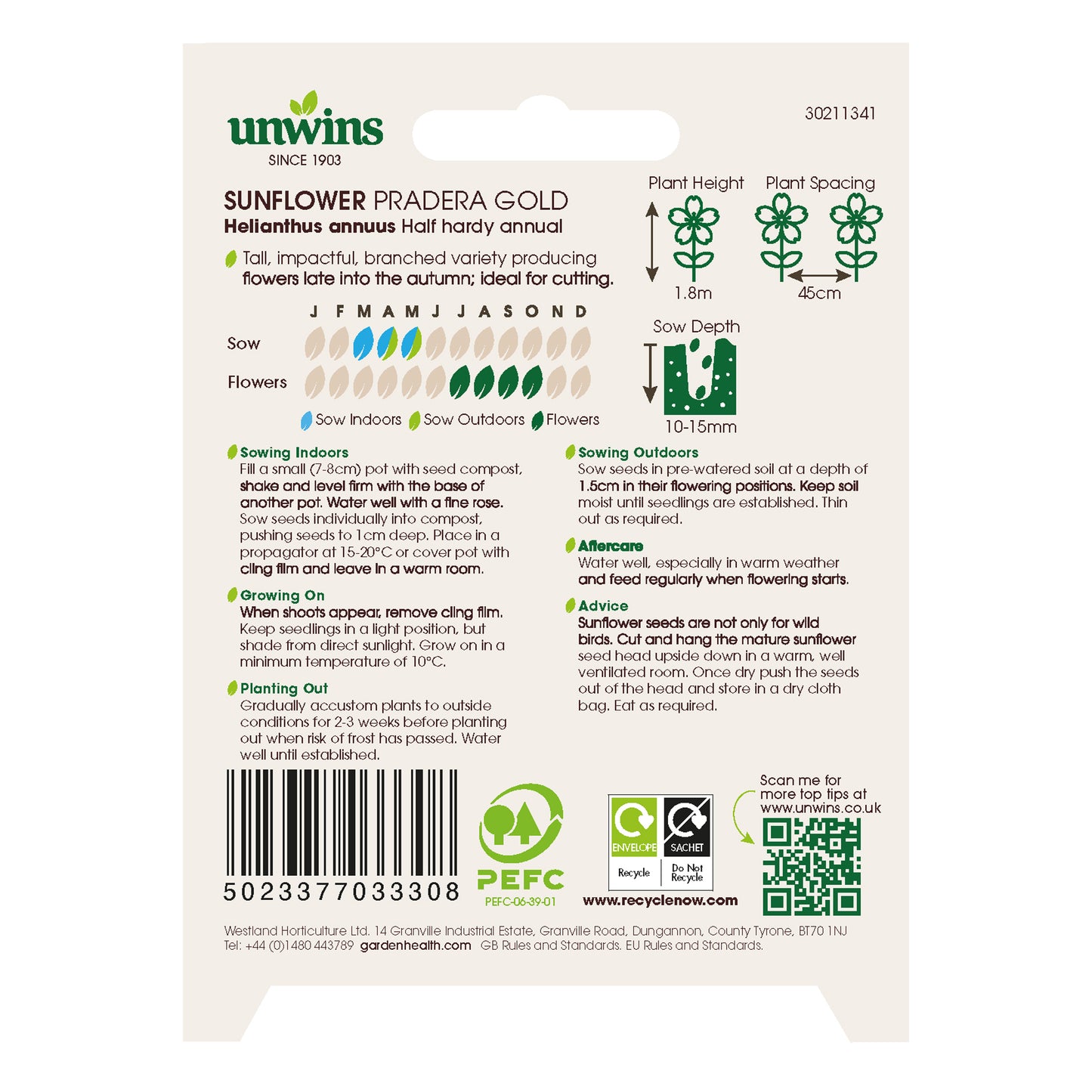 Sunflower Pradera Gold