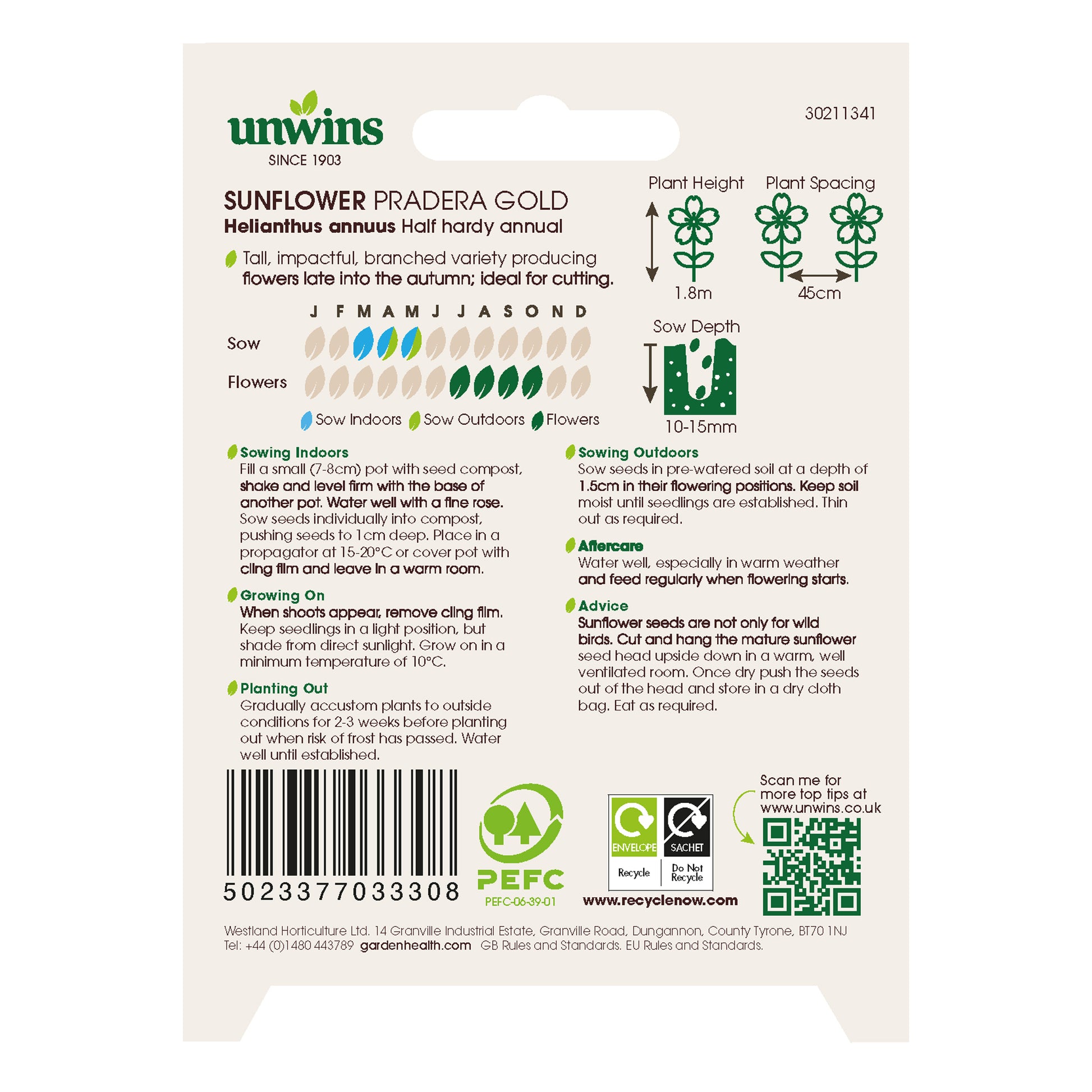 Sunflower Pradera Gold