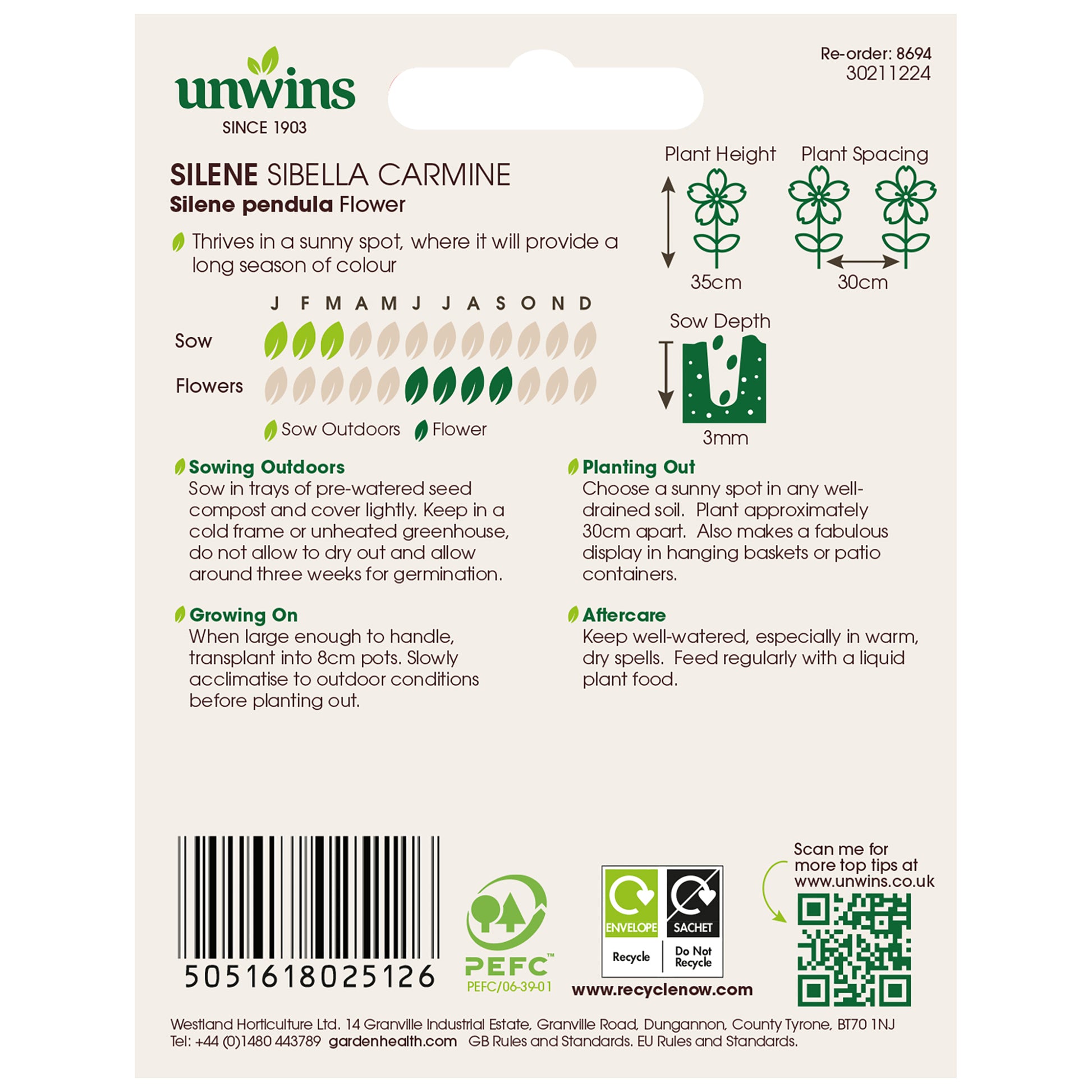 Silene Sibella Carmine