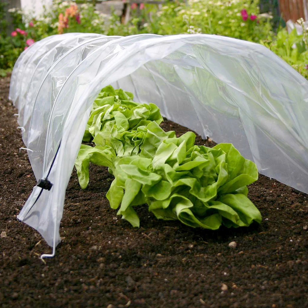 Haxnicks Easy Poly Tunnel L3m W45cm H30cm