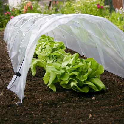Haxnicks Easy Poly Tunnel L3m W45cm H30cm