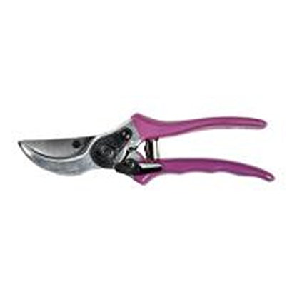 Burgon & Ball Asteraceae Secateurs