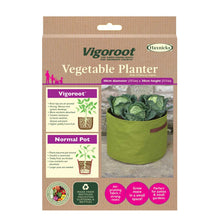 Haxnicks Vigoroot Planter