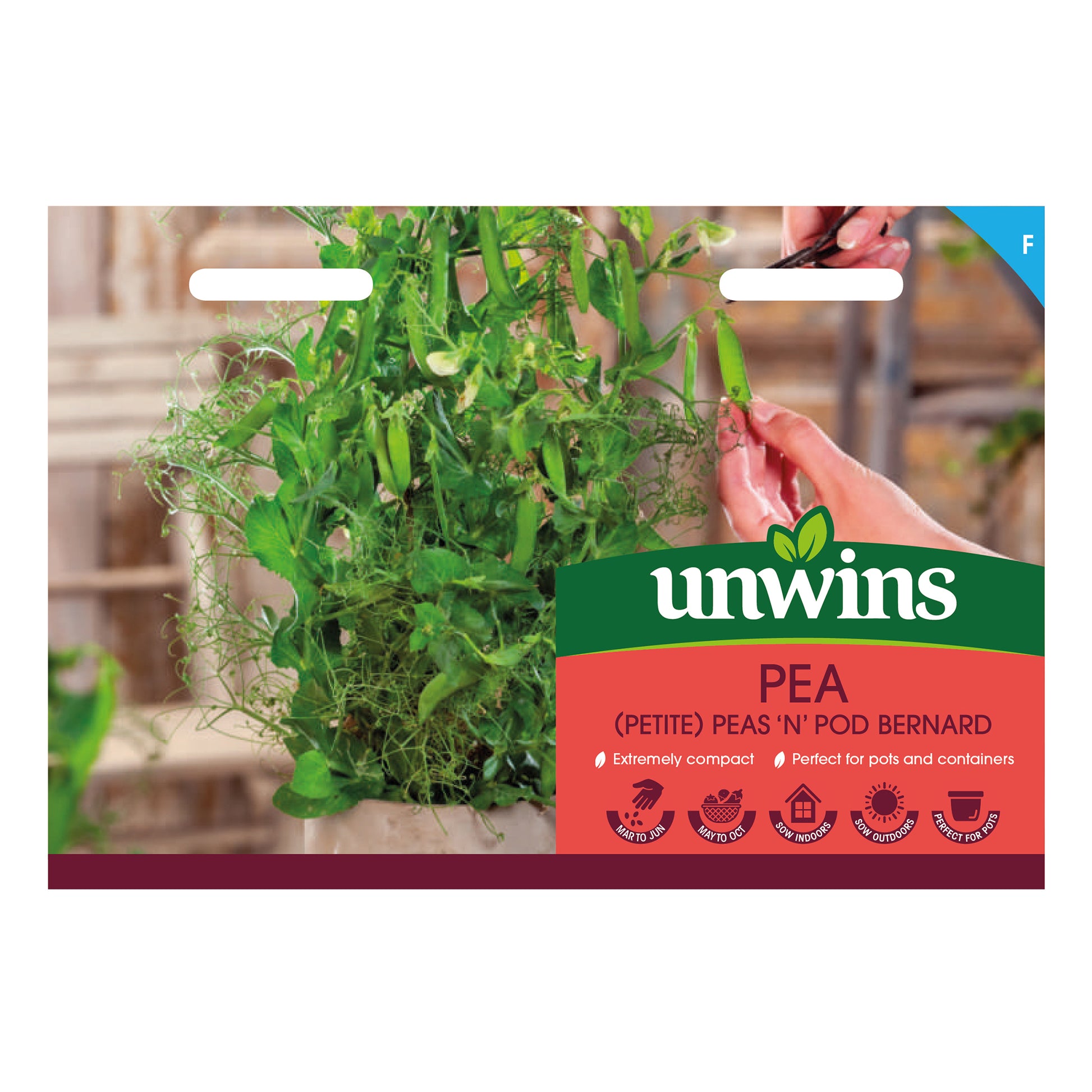 Peas ‘N’ Pod Bernard