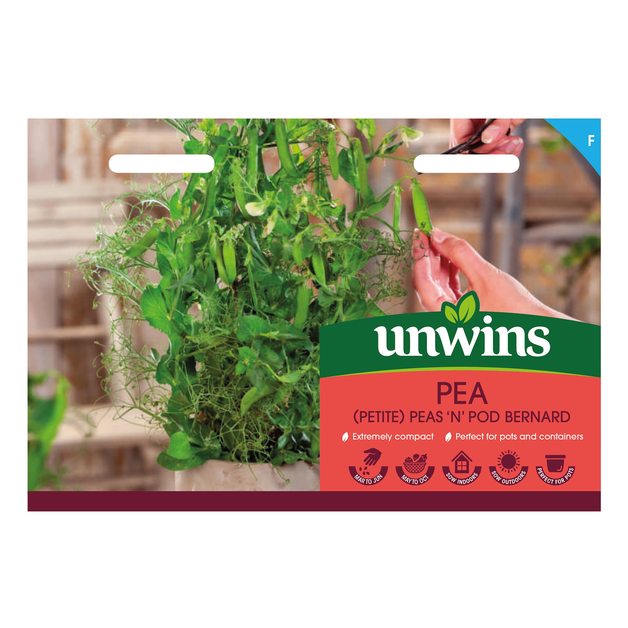 Peas ‘N’ Pod Bernard