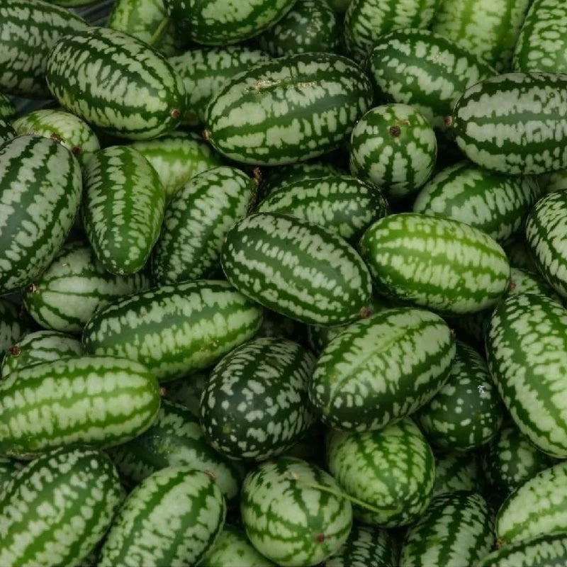 Cucamelon