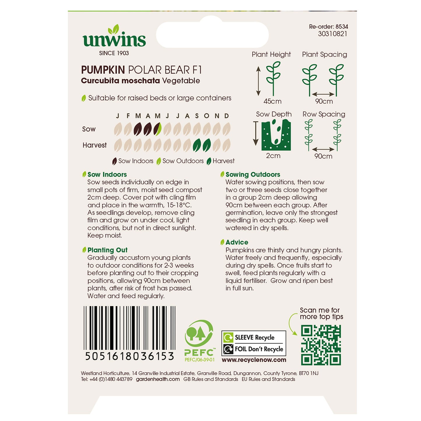 Pumpkin Polar Bear F1