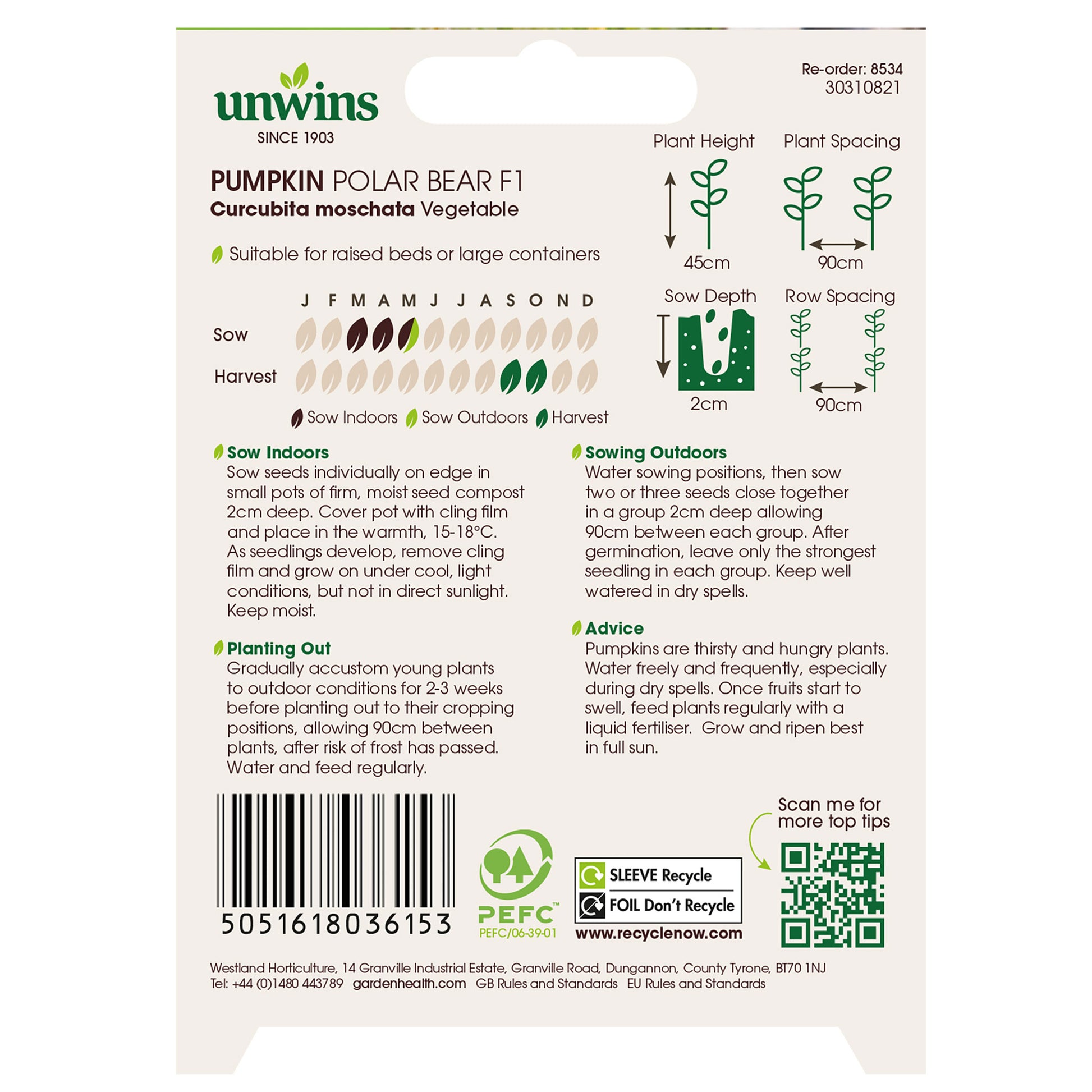 Pumpkin Polar Bear F1