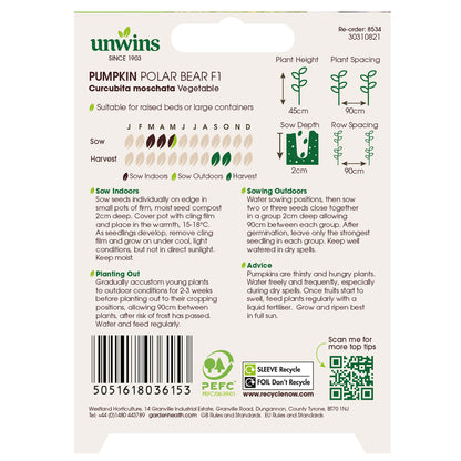 Pumpkin Polar Bear F1