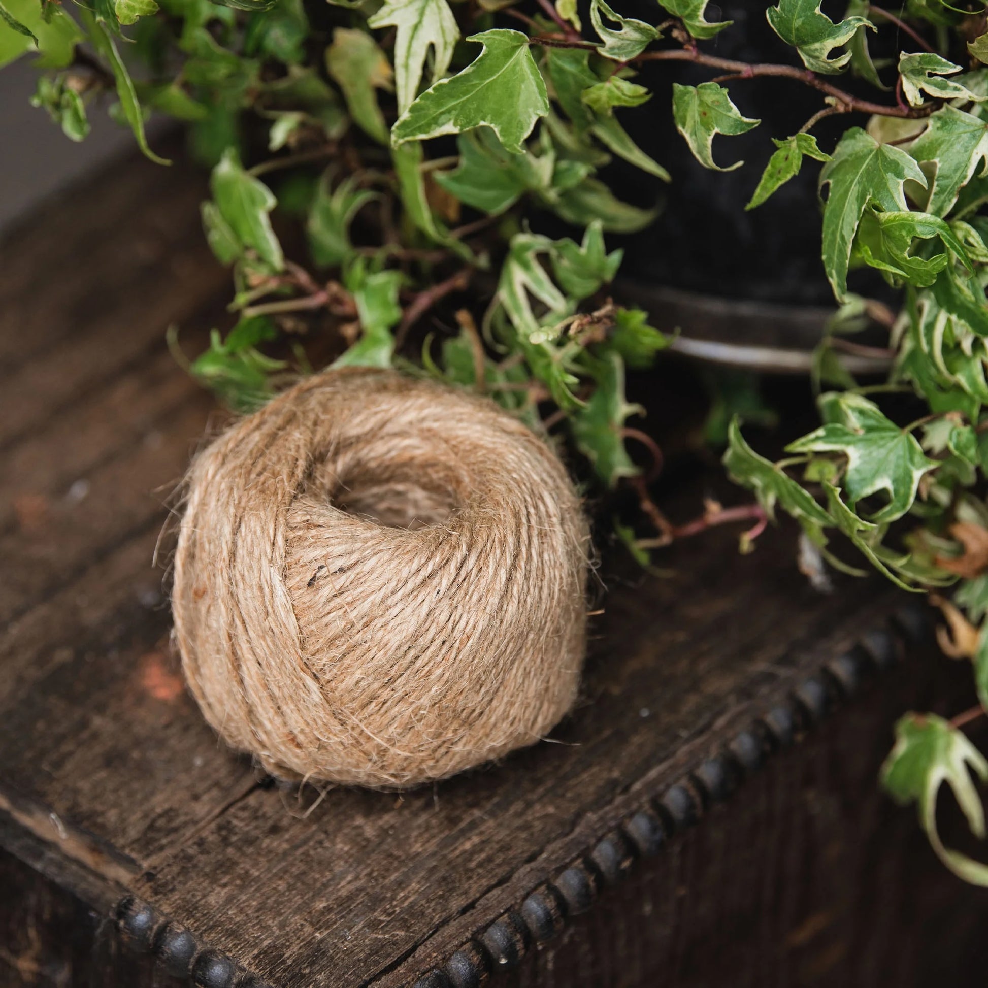 Kent & Stowe Jute Twine Natural 80m