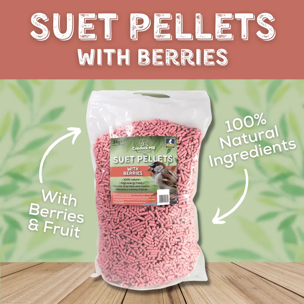 Copdock Mill Suet Pellets Berry Tub 3kg