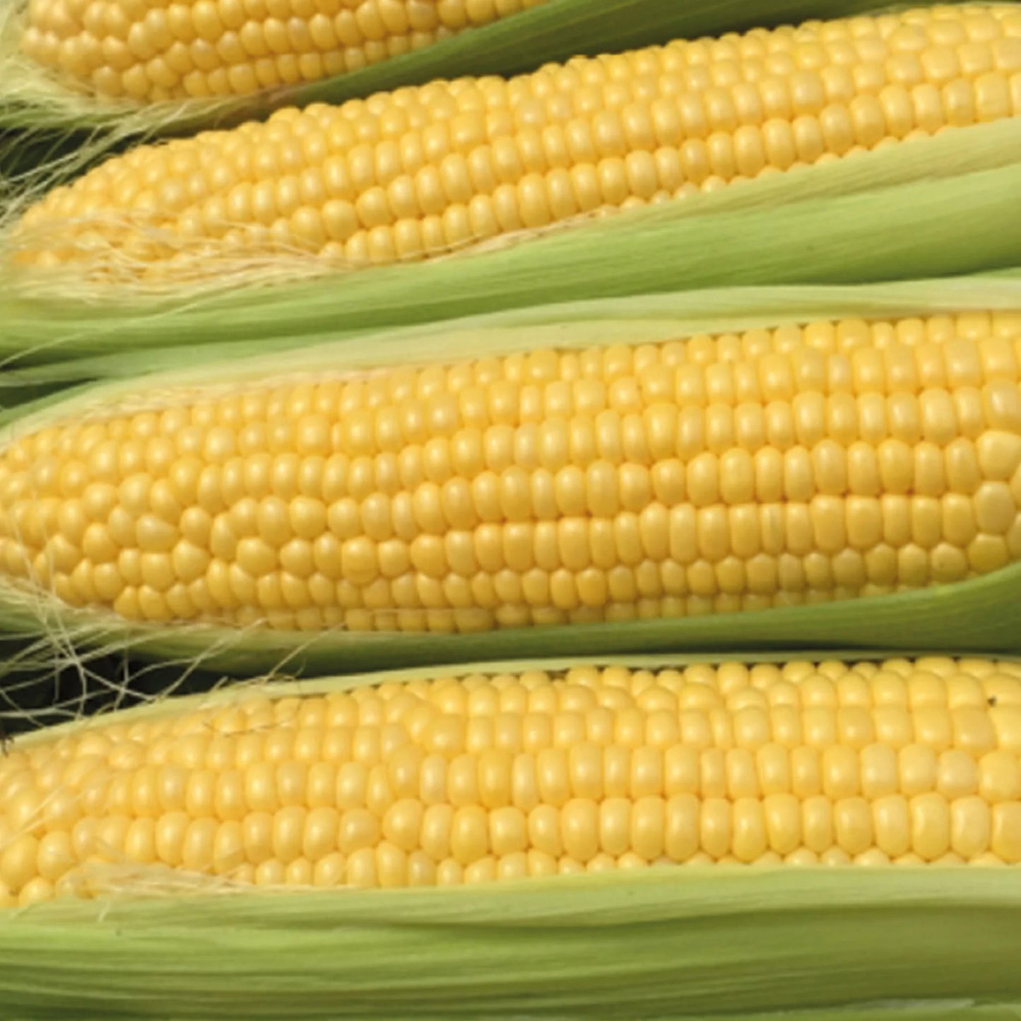 Sweetcorn Moonshine F1