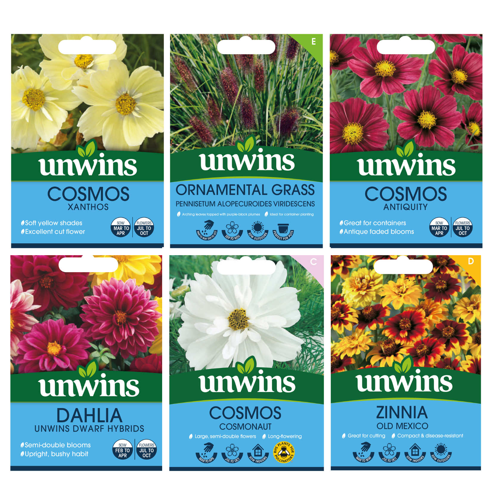 Unwins Autumn Flowering Seed Bundle