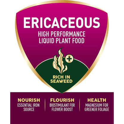 Westland Ericaceous High Performance Liquid Feed 1L