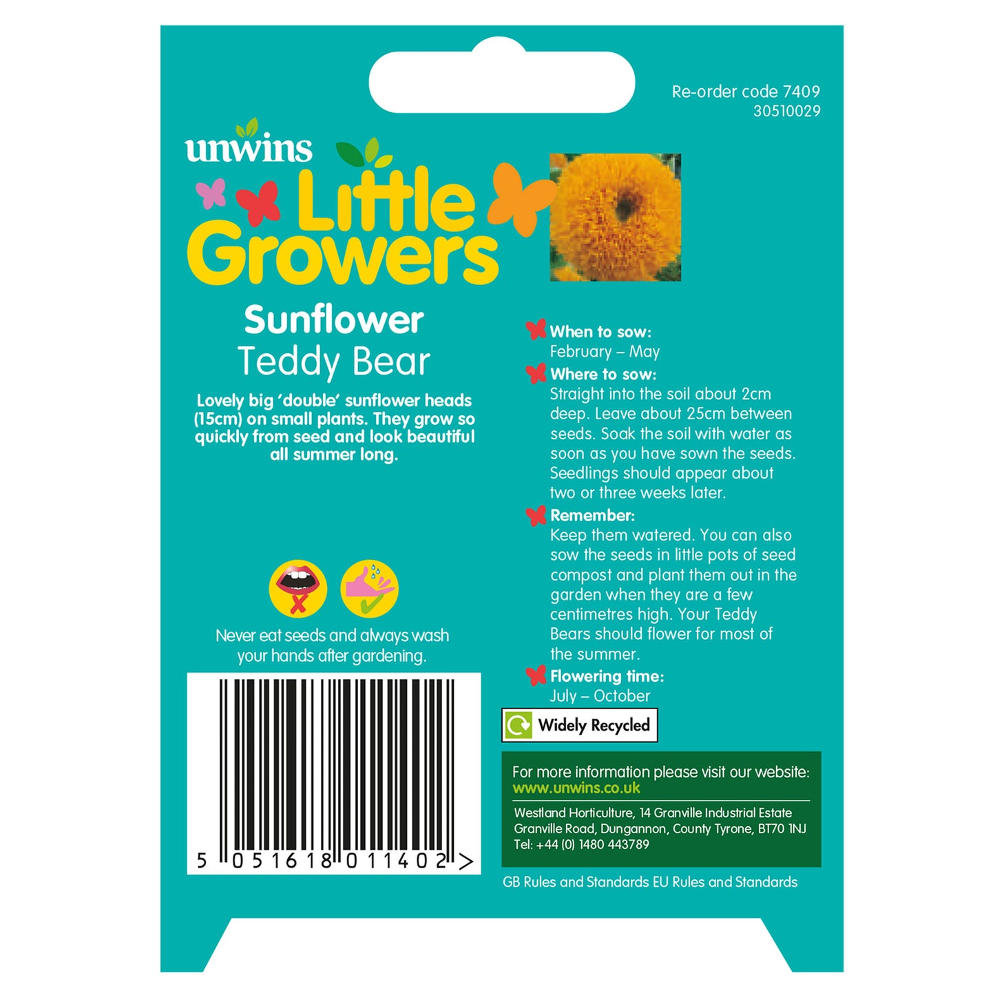 Little Growers Sunflower Teddy Bear
