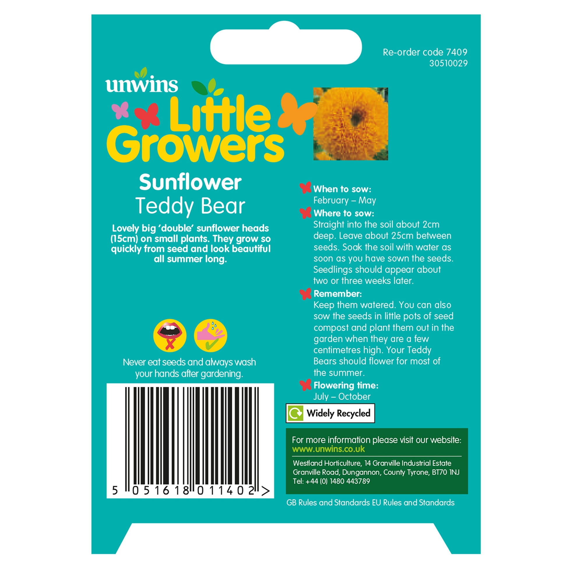 Little Growers Sunflower Teddy Bear