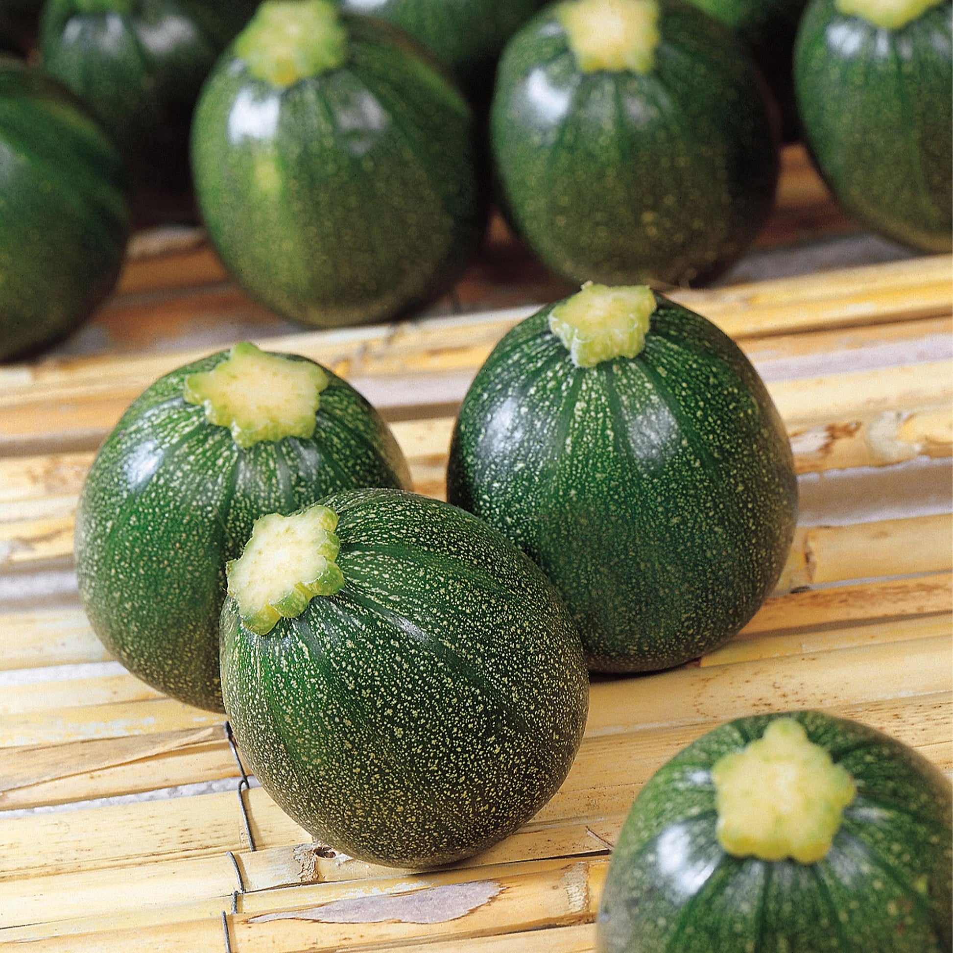 Courgette Eight Ball F1