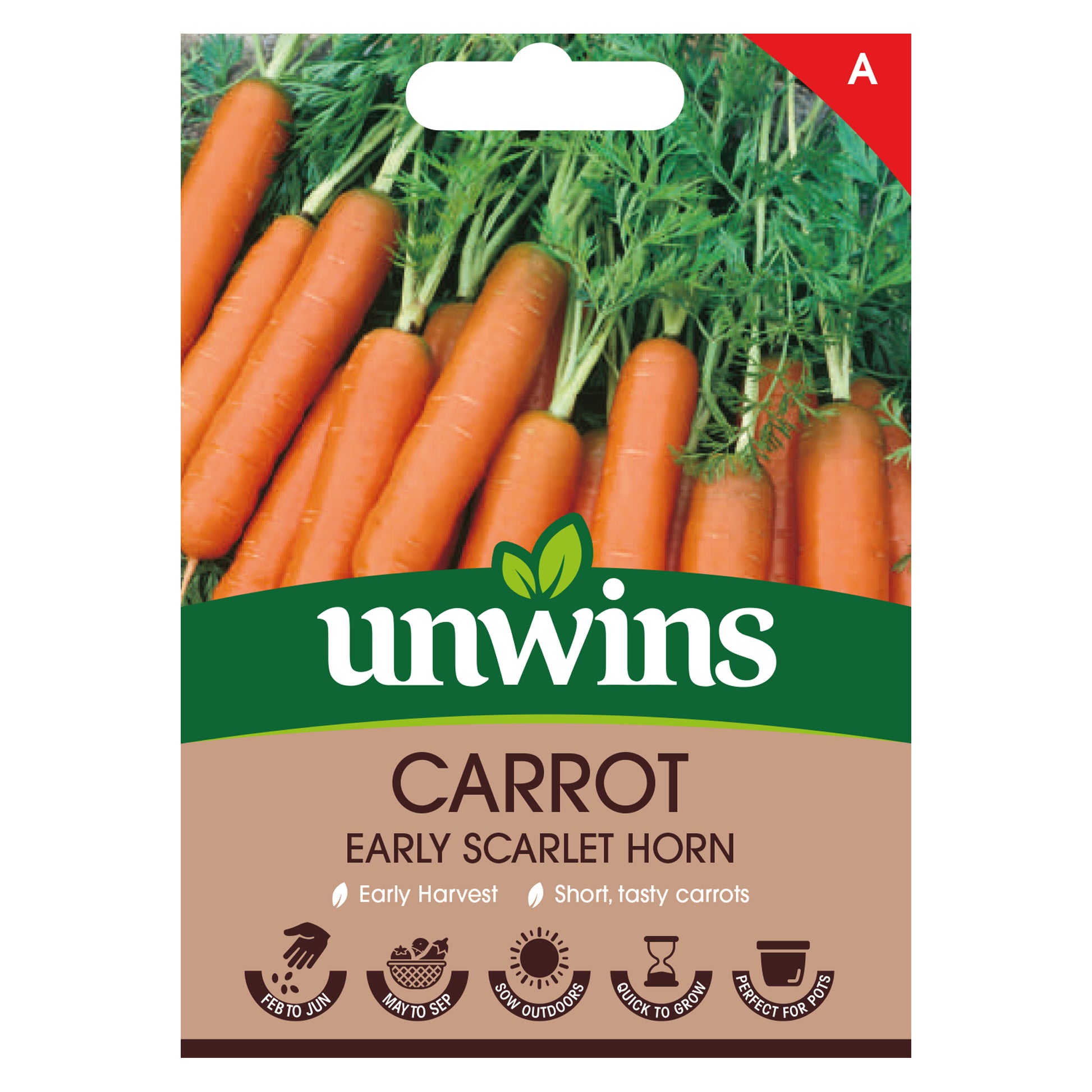 Carrot Early Scarlet Horn