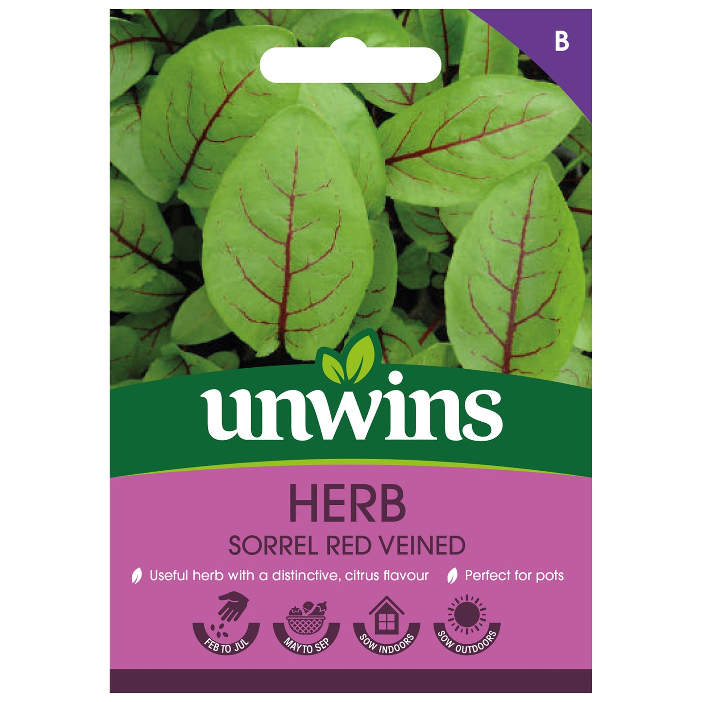Herb Sorrel Red Veined