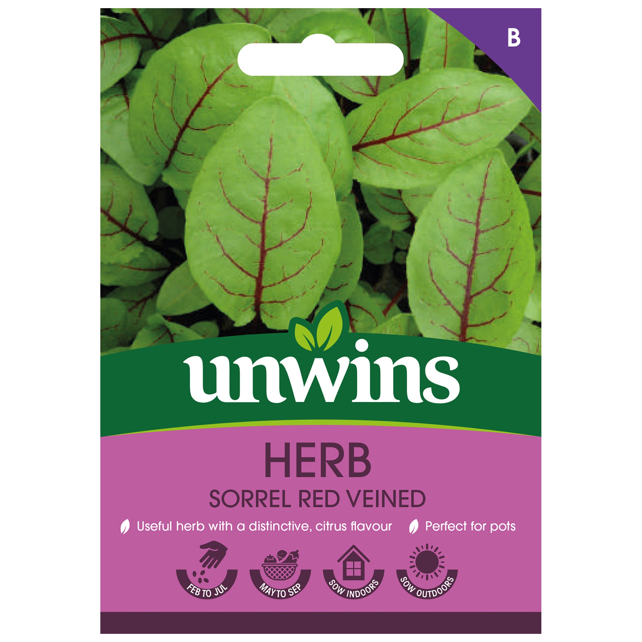 Herb Sorrel Red Veined