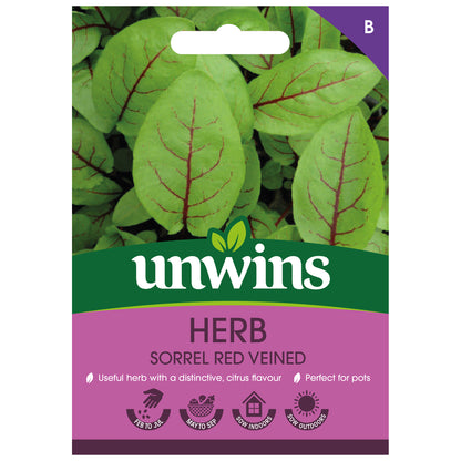 Herb Sorrel Red Veined