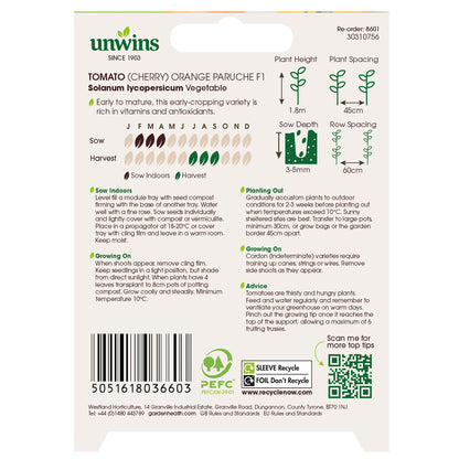 Tomato (Cherry) Orange Paruche F1