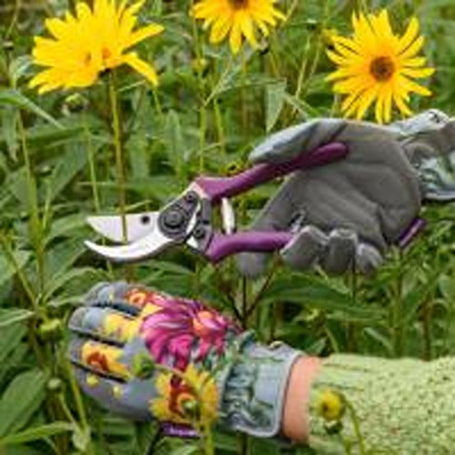 Burgon & Ball Asteraceae Secateurs