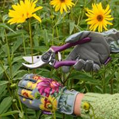 Burgon & Ball Asteraceae Secateurs