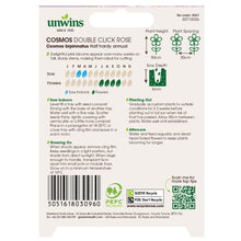 Unwins Cosmos Pink Seed Bundle