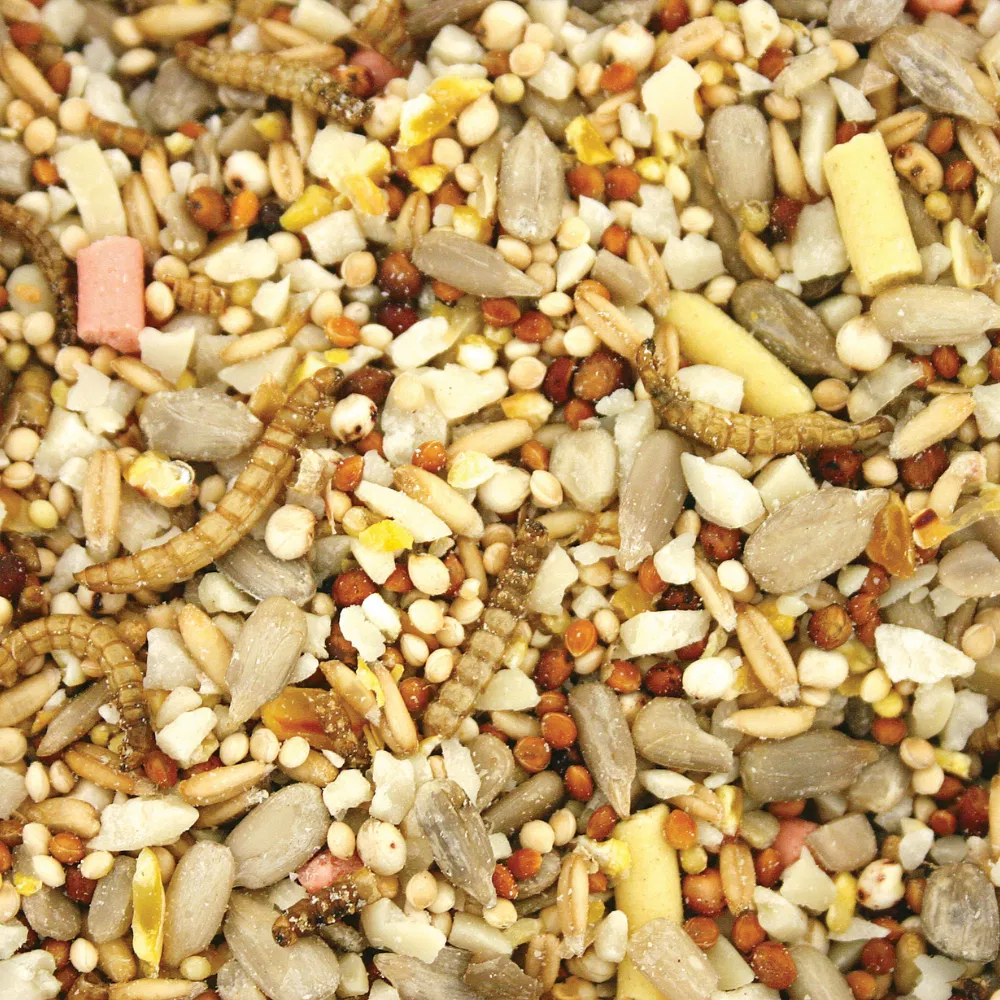 Copdock Mill Wild Bird Garden Feast 2.5kg