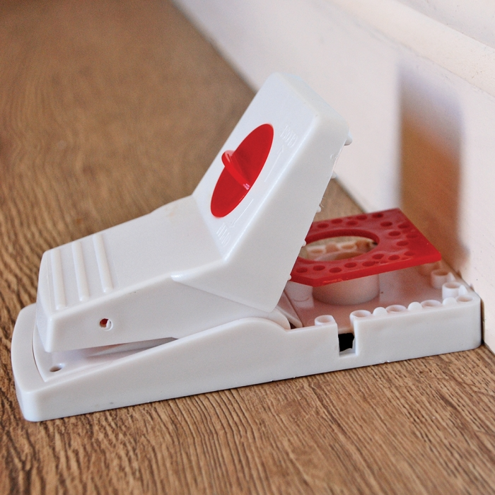 The Big Cheese Ready-Baited Rat Trap Twinpack