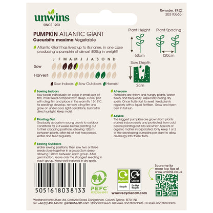 Pumpkin Atlantic Giant