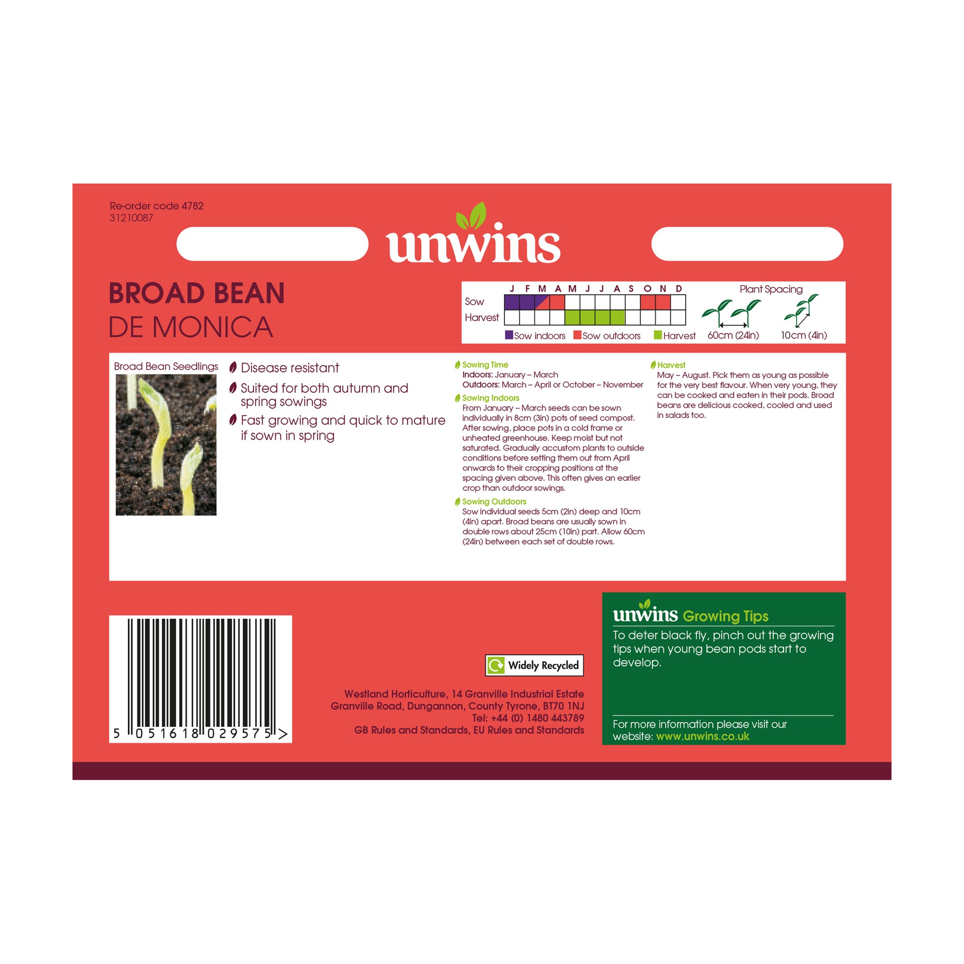 Broad Bean De Monica