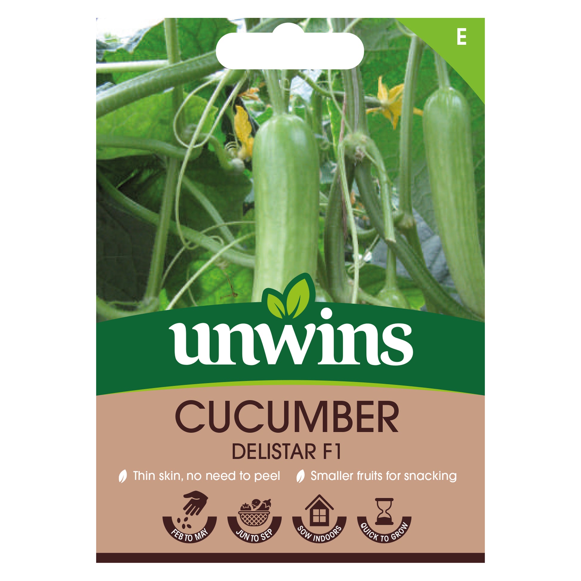 Cucumber Delistar F1