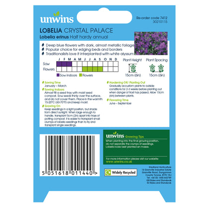 Lobelia Crystal Palace (Bush)
