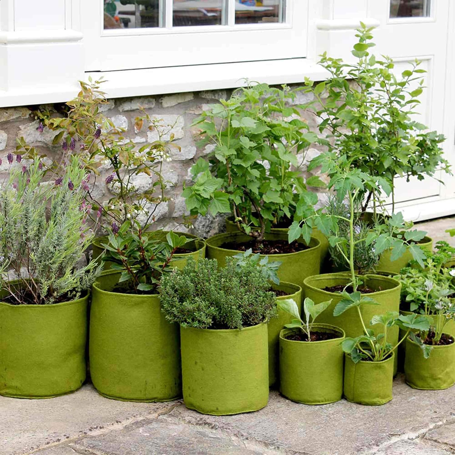 Haxnicks Vigoroot Planter