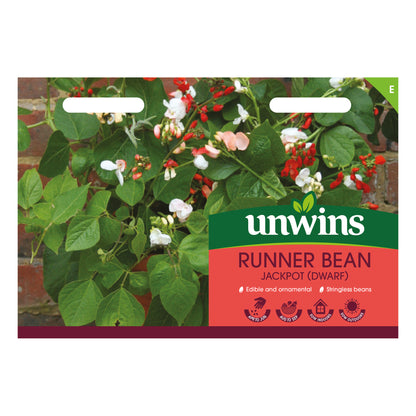 Runner Bean Jackpot (Dwarf)