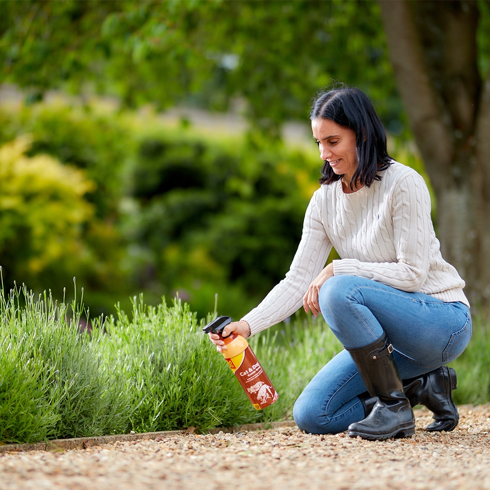 The Big Cheese Cat & Dog Scatter Spray 1L RTU