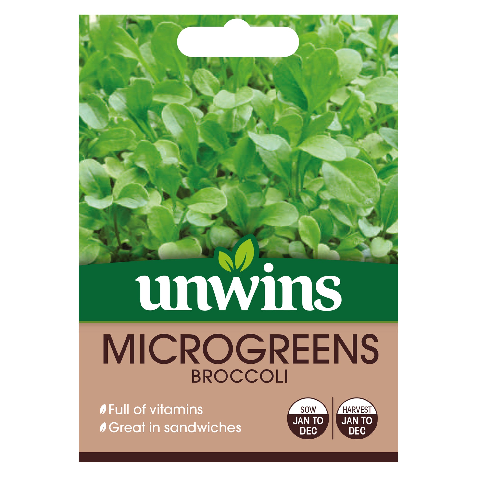 MicroGreens Broccoli