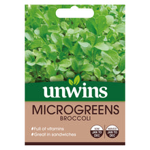MicroGreens Broccoli