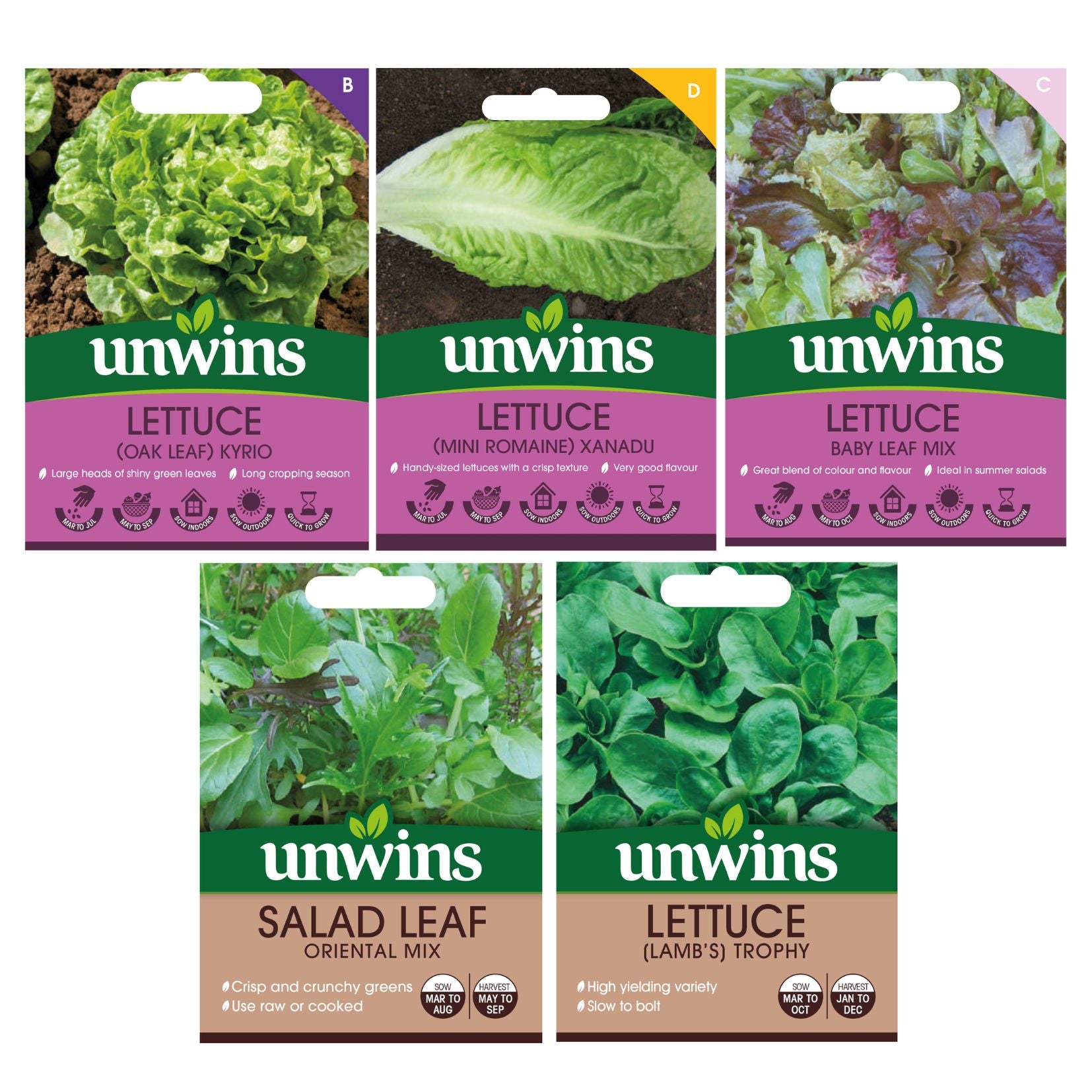 Unwins Cut-and-Come-Again Salad Seed Bundle