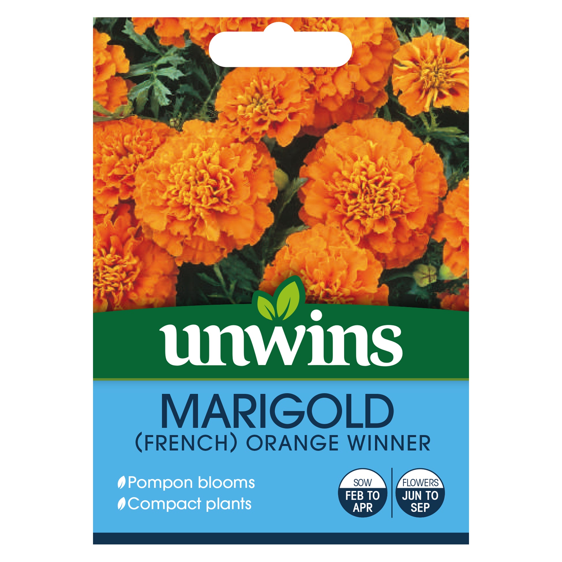 Marigold (French) Orange Winner