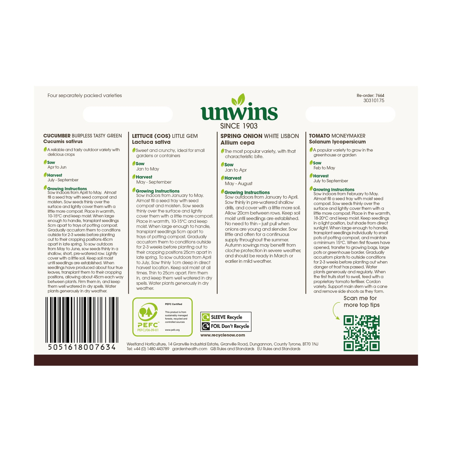 Salad Classic Collection Pack