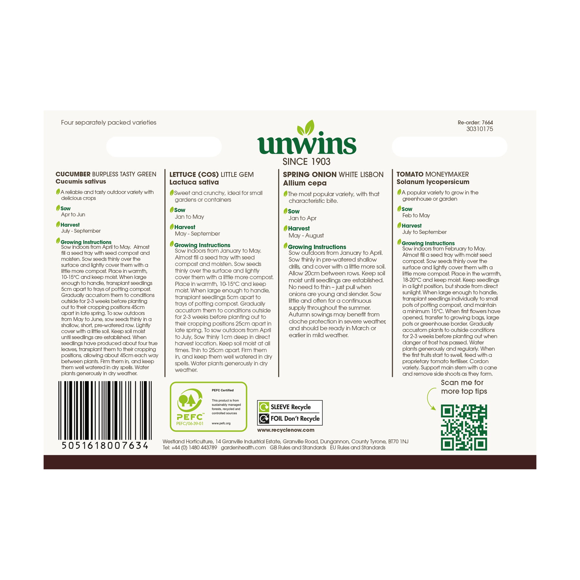 Salad Classic Collection Pack