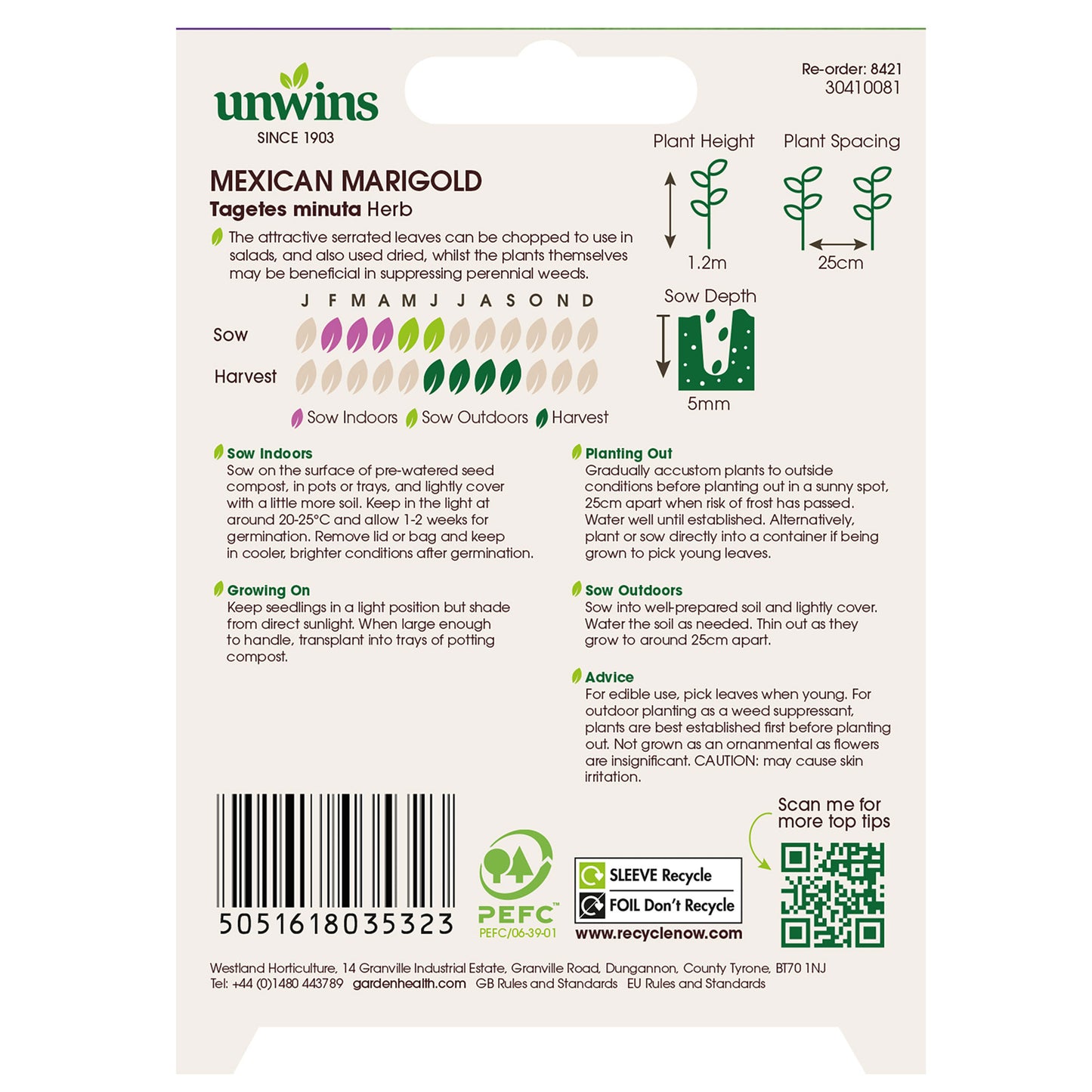 Herb Mexican Marigold