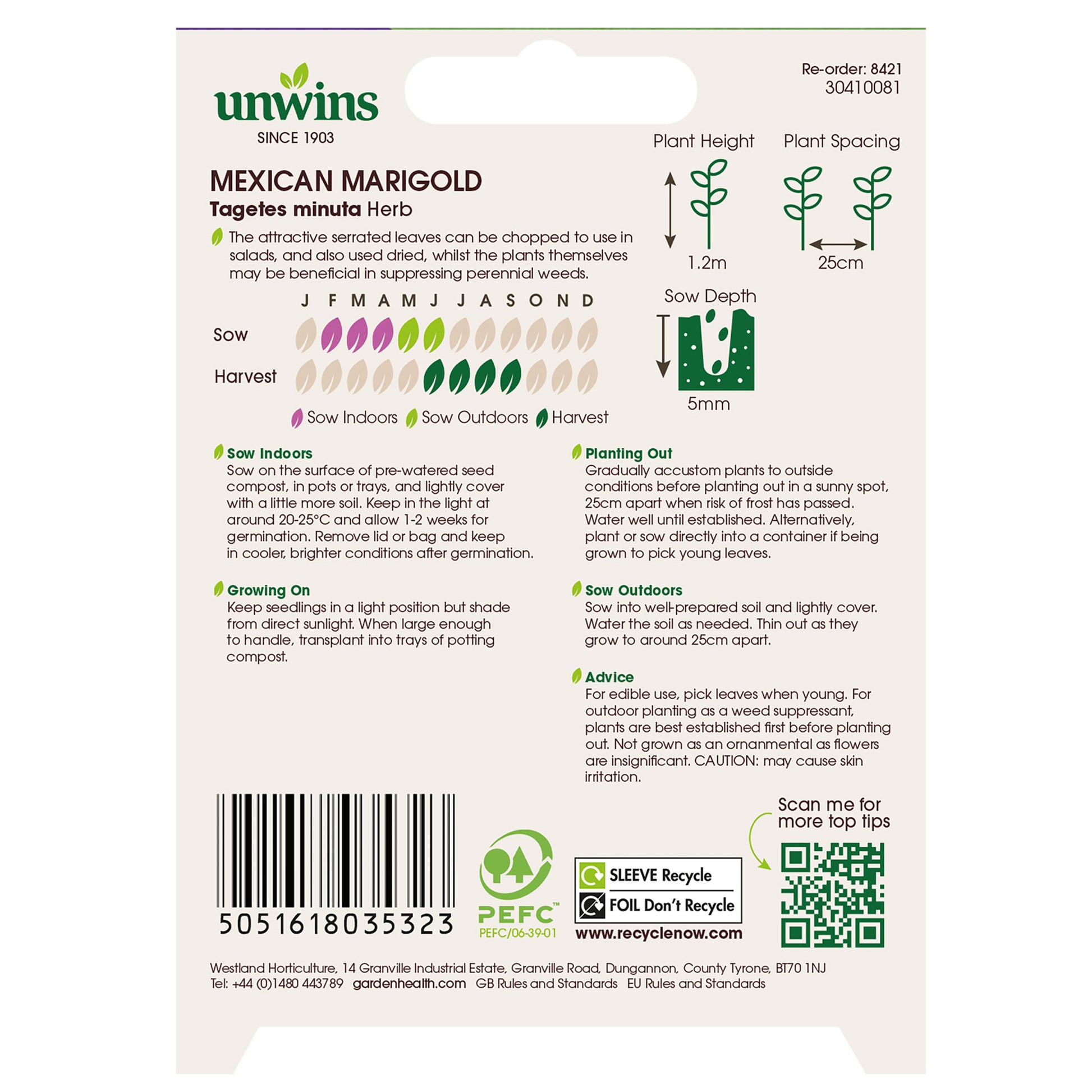 Herb Mexican Marigold