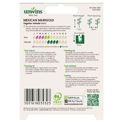 Herb Mexican Marigold