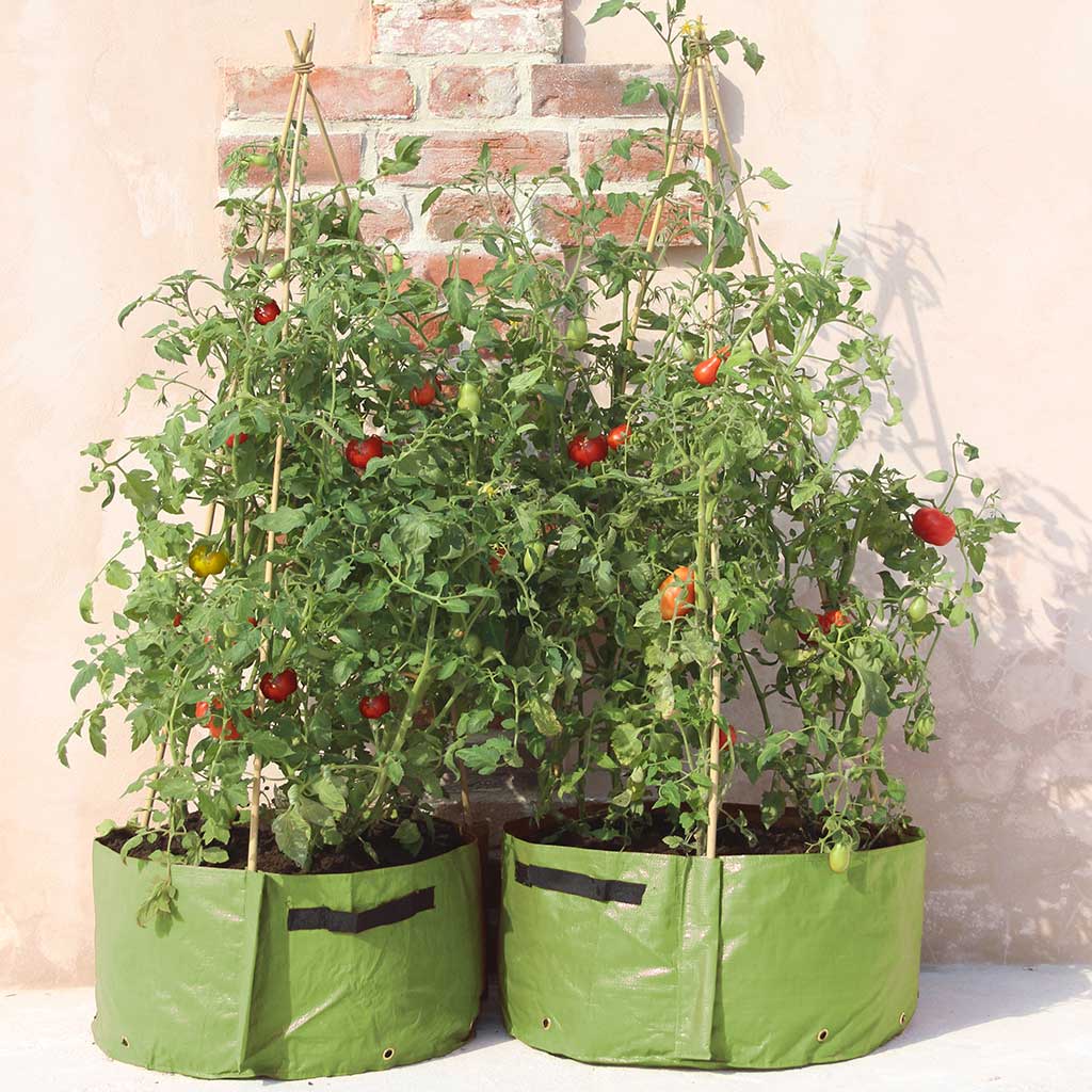 Haxnicks Patio Planters